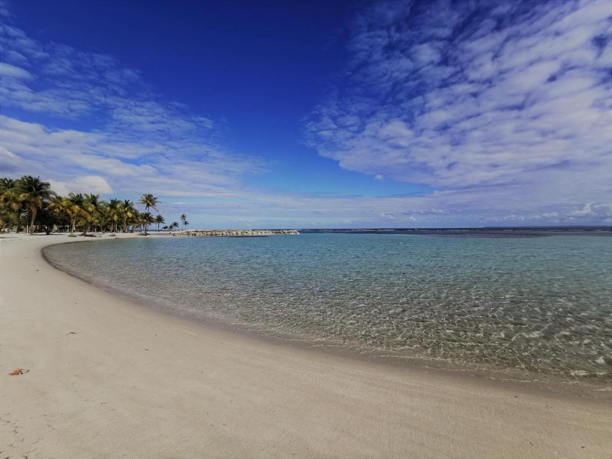 T2 Toloman - Sainte-Anne Centre - Acces Plage A Pied المظهر الخارجي الصورة